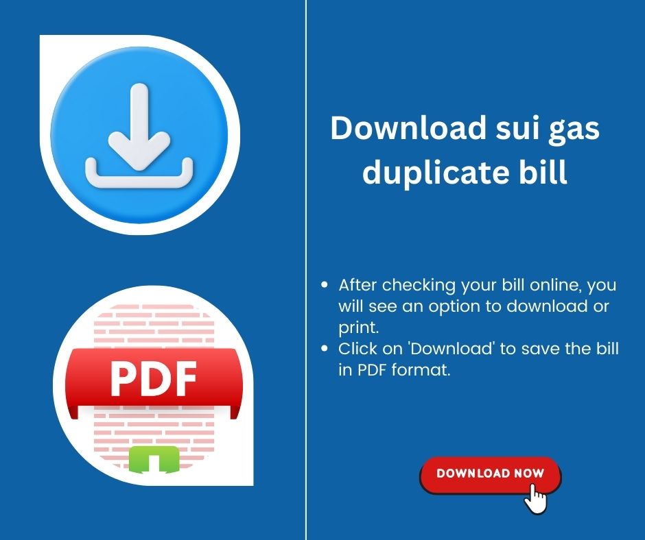 Download gas bill sui northern
