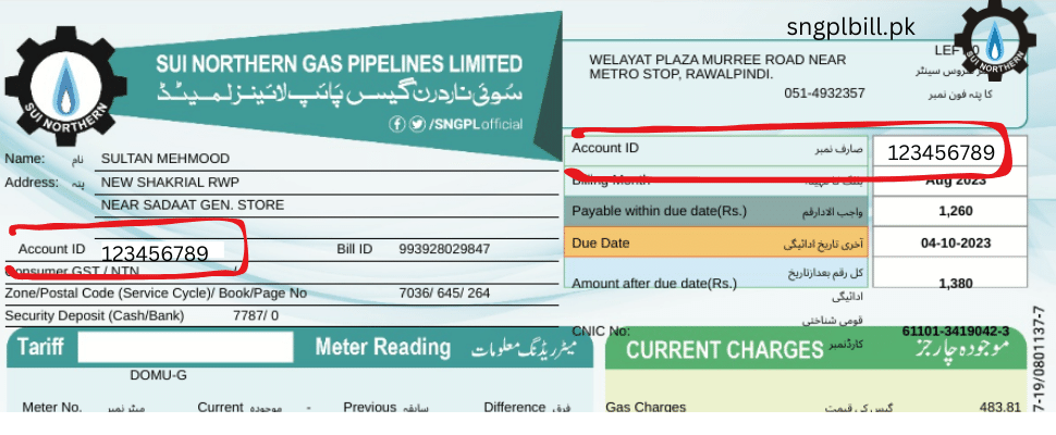 sngpl bill online check In Sialkot