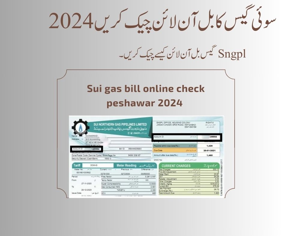 Sui gas bill online check peshawar 2024