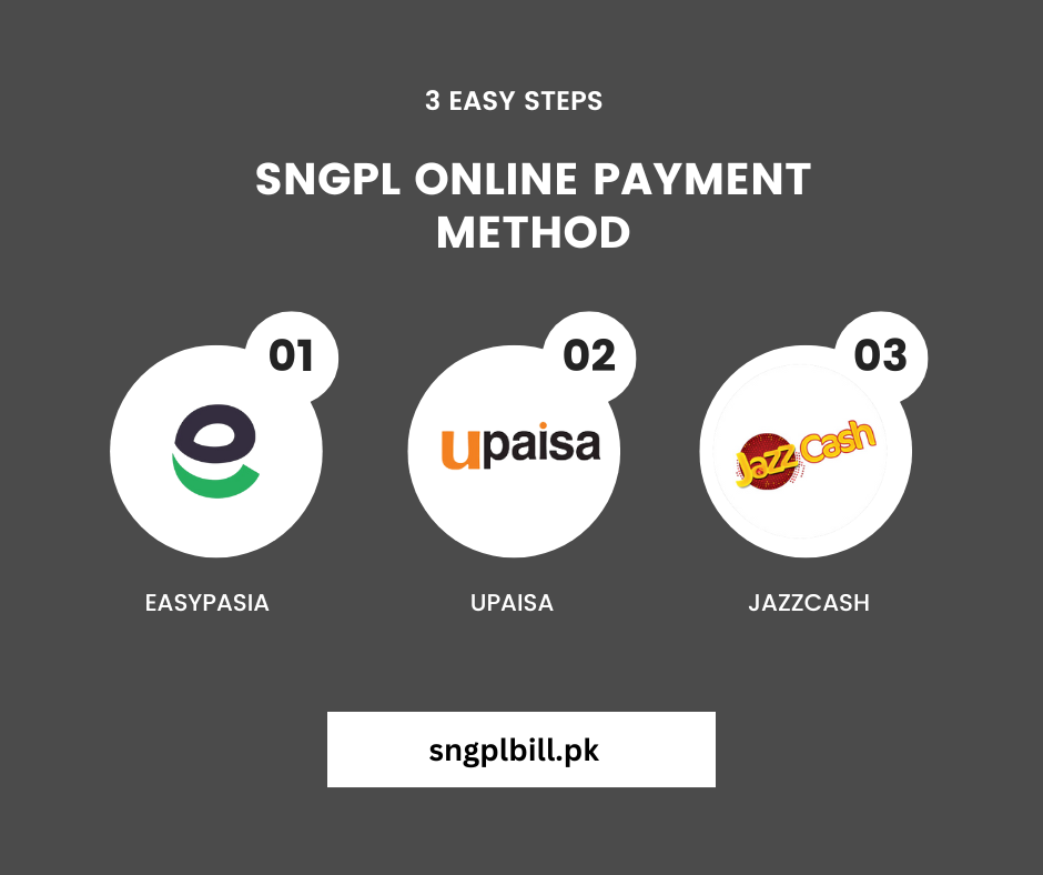 SNGPL Online Payment Method