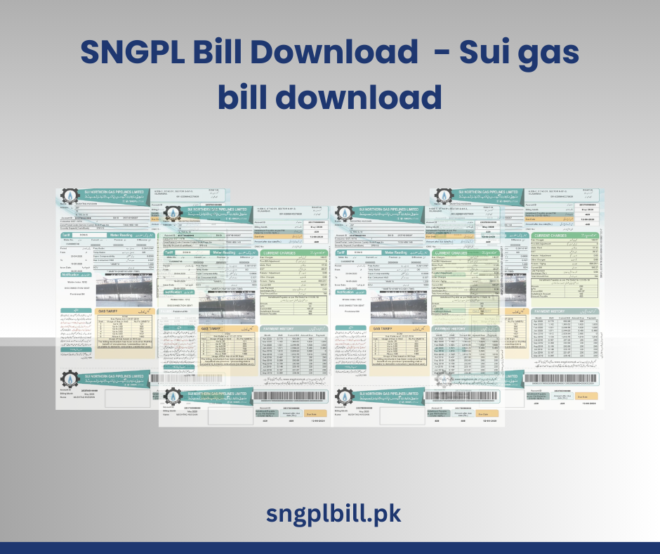 Sui gas bill online check sargodha 2024